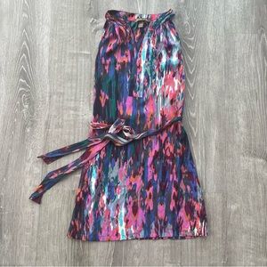 Colorful Charlie Jade Dress